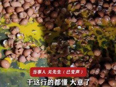 女子搬运150斤黄鸡蛋瞬间全碎,装卸行规引热议!